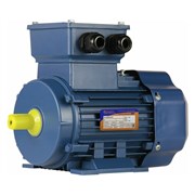 Электродвигатель 5АИ 63 В6 0.25/1000 IM 1081