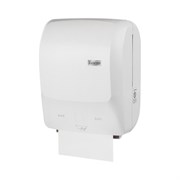 Диспенсер для рулонных полотенец Luscan Professional prof etalon