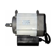 Однофазный асинхронный электродвигатель переменного тока БЕЛМАШ A1P6320.1N1