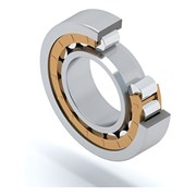 Подшипник DINROLL NU204M