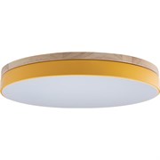 Накладной светильник LOFT IT Axel