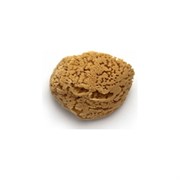 Натуральная морская губка PAVAN 3120 S0112503