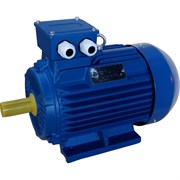 Электродвигатель ЭМШ АИР100L6У1