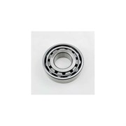 Подшипник URB N310