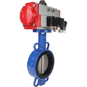 Затвор DN.ru wcb-316l-nbr