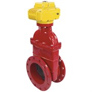 Клиновая задвижка DN.ru 30ч939р -250-10-GGG50-EPDM-F4-BLUE