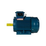 Электродвигатель 5АИ 112 М2 7.6/3000 IM 1081