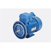 Электродвигатель МЭЗ 4ВР80А4