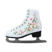 Фигурные коньки Atemi AFSKD03 00-00007828