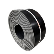 Конвейерная лента под ворота ООО Поволжский центр РТИ 4640209727030