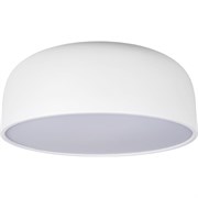 Накладной светильник LOFT IT Axel