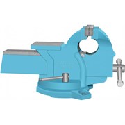 Чугунные поворотные слесарные тиски РАДИАНТ ТСЧ-125