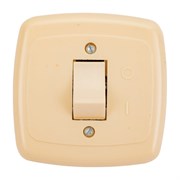 Одноклавишный выключатель ООО Ливны-Электро С1-002 УХЛ 4