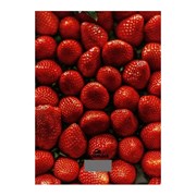 Кухонные весы Добрыня 3011S