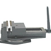 Чугунные поворотные станочные тиски CNIC Q13 QB250