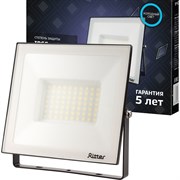 Светодиодный прожектор Ritter PROFI