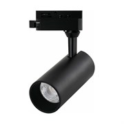 Трековый светильник Arte Lamp REGULUS