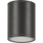 Потолочный светильник MAYTONI Bar