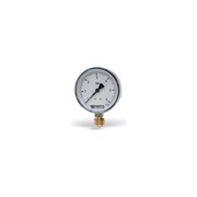 Радиальный манометр Watts F+R250