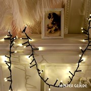 Электрическая гирлянда Winter Glade CB370