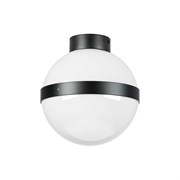 Потолочный светильник Lightstar 812117