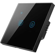 Умный двухкнопочный сенсорный выключатель Roximo SWSEN01-2B