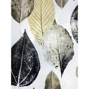 Штора для ванной комнаты Bath Plus LEAF STORY