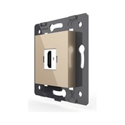 Розетка LIVOLO VL-FCHD-2AP