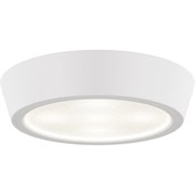 Потолочный светодиодный светильник Lightstar 214904