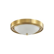 Настенно-потолочный светильник Lumion NINA