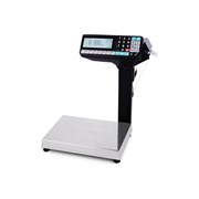 Весы-регистраторы МАССА-К МК-6.2-RP-10