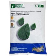 Семена газона для Северо-Западного региона и Дальнего Востока Зеленый квадрат 4607160332055