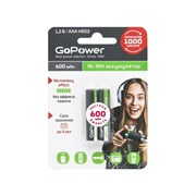 Бытовой аккумулятор GoPower HR03