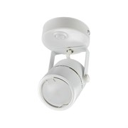 Накладной декоративный светильник Fametto DLC-S612