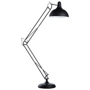 Напольный светильник Arte Lamp A2487PN-1BK