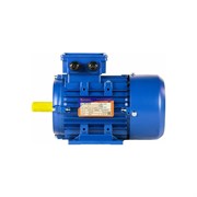 Электродвигатель 5АИ 71 А4 0.55/1500 IM 1081