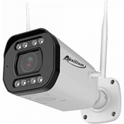 Камера AKSILIUM IP-503 FMSW (2.8) 1 SD AI