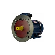 Электродвигатель 5АИ 132 М6 7.6/1000 IM 2081