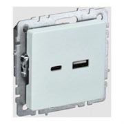 Розетка usb IEK Brite