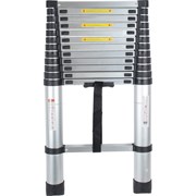 Телескопическая лестница ПОЛЕСАД 19967