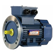Электродвигатель 5АИ 63 В6 0.25/1000 IM 2081