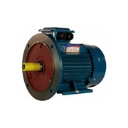 Электродвигатель 5АИ 112 МВ6 4/1000 IM 2081
