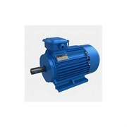 Электродвигатель 5АИ 160 М2 18.5/3000 IM 1001