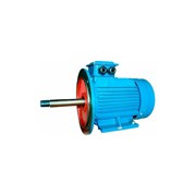Электродвигатель 5АИ 112 М2Ж 7.6/3000 IM 2089