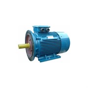 Электродвигатель 5АИ 200 L4 45/1500 IM 2001