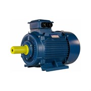 Электродвигатель 5АИ 180 М6 18.5/1000 IM 1001