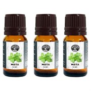 Натуральное эфирное масло для бани Бацькина баня Мята