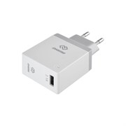 Универсальное сетевое зарядное устройство DIGMA DGWC-1U-2.1A-WG