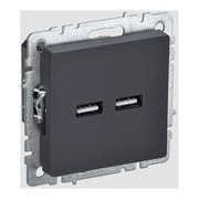 Розетка usb IEK Brite