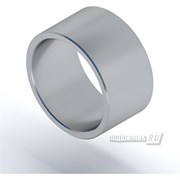 Кольцо DINROLL IR17x20x16.5